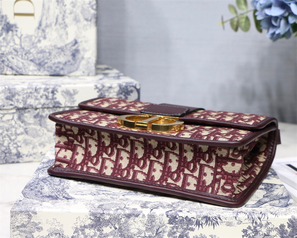 D10r 30 MONTAIGNE CHAIN BAG ROSERED 24x18x8 cm