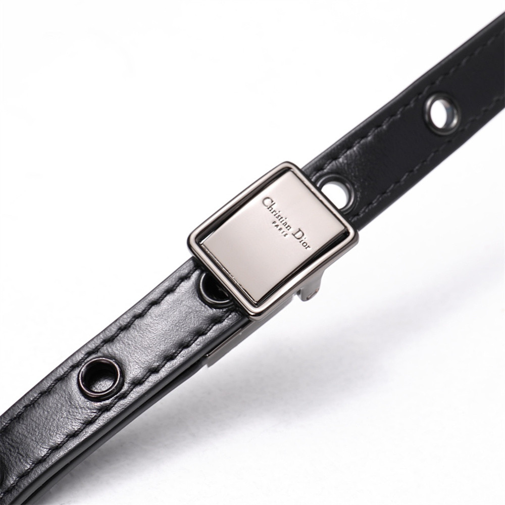 SMALL D10r CARO BAG BLACK S*pple Cannage Calfskin With Silver Hardware 20 x 12 x 7 cm