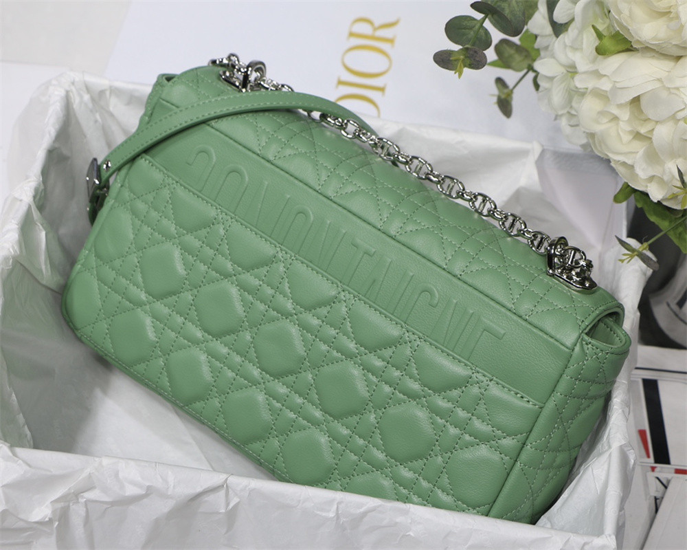 LARGE D10r CARO BAG Green S*pple Cannage Calfskin With Silver Hardware 29 x 18 x 10 cm