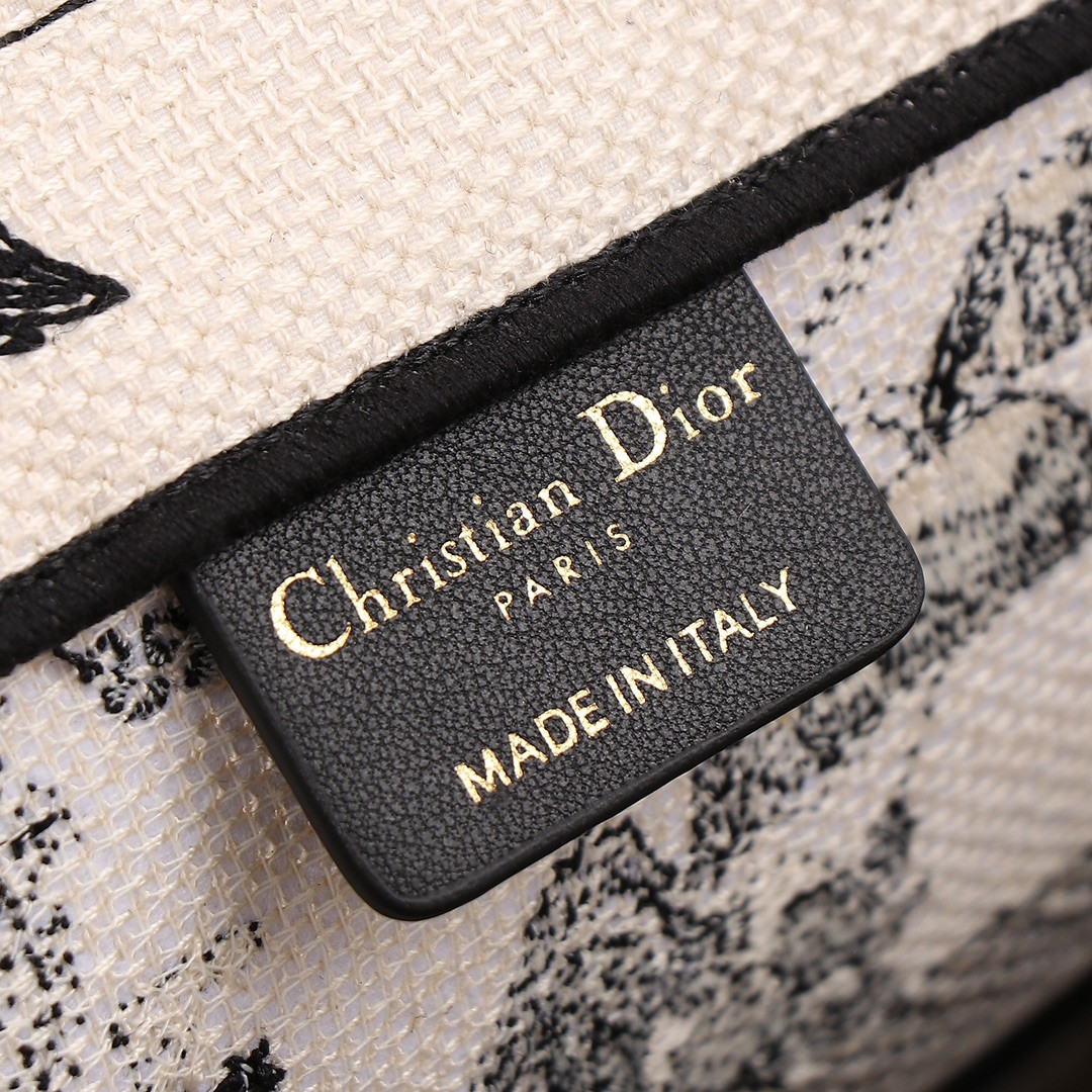 Medium D10r Book Tote De Jouy Zodiac 14 x 11 x 6.5 inches