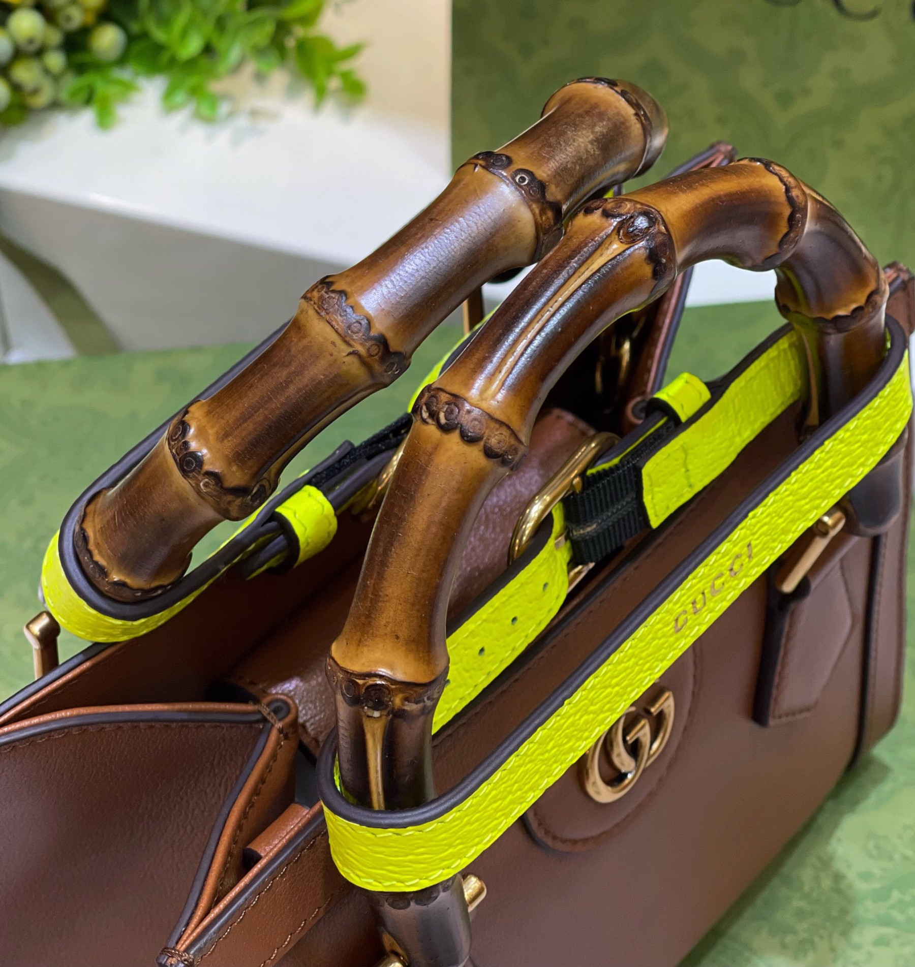 Gvc*1 DIANA MINI TOTE BAG Brown 20W x 16H x 10D CM