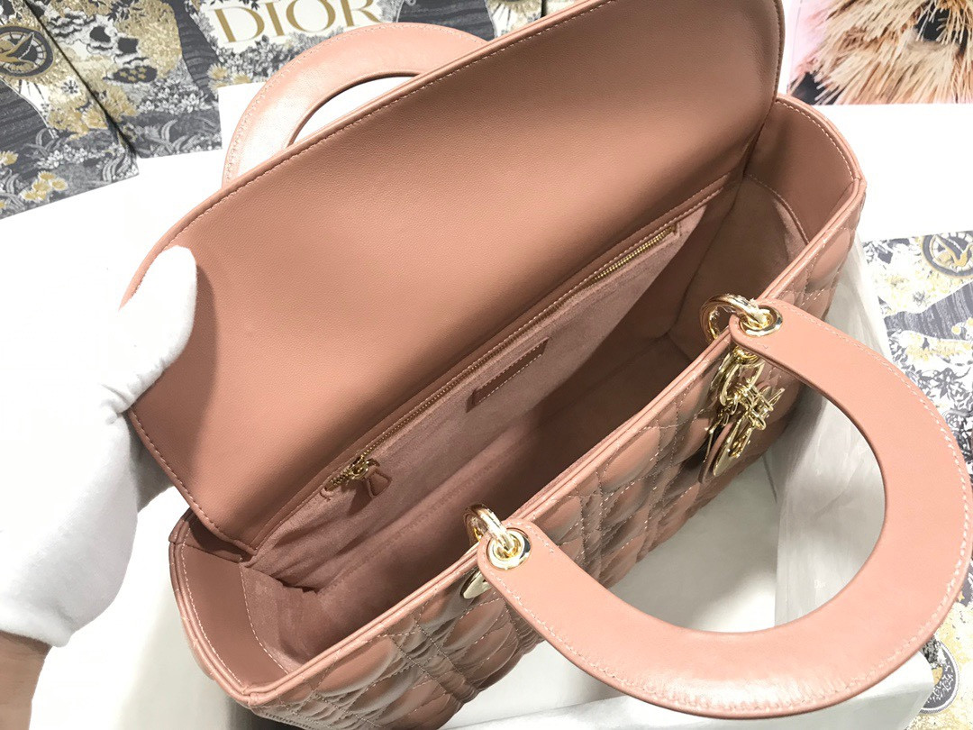 D10r Lady Bag 32 x 25 x 11cm