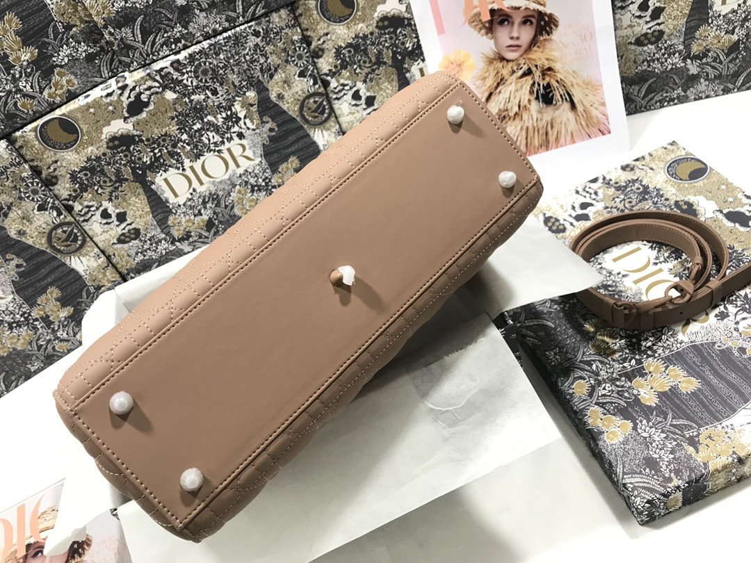 D10r Lady Bag 32 x 25 x 11cm