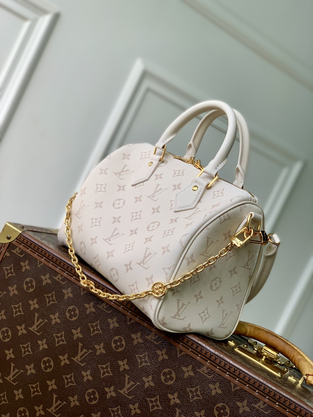 LV SPEEDY BANDOULIÈRE 25 Handbag M26690 18x13x25cm