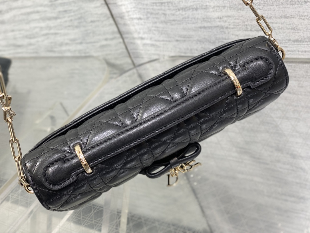 my D10r mini bag 21x11.5x4.5cm