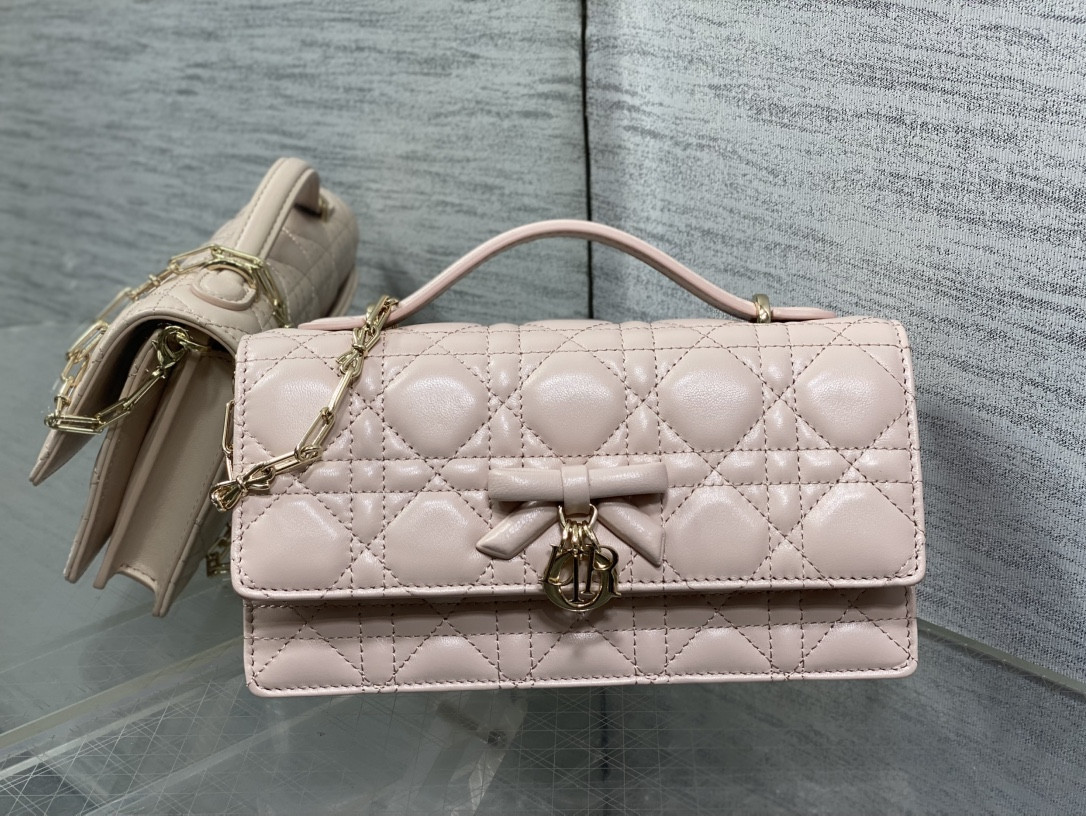 my D10r mini bag 21x11.5x4.5cm