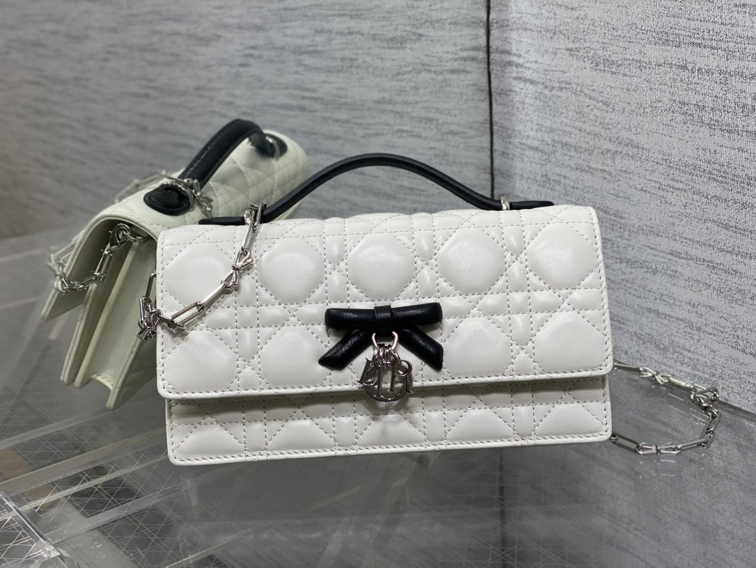 my D10r mini bag 21x11.5x4.5cm