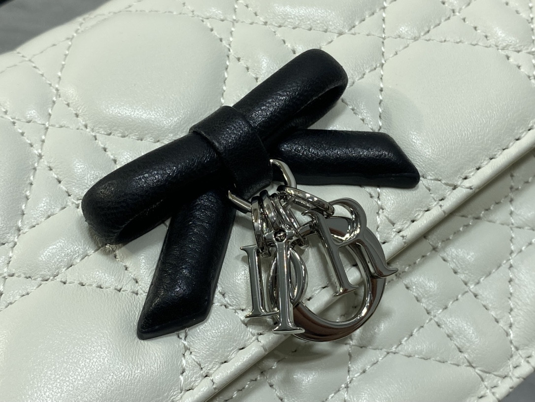 my D10r mini bag 21x11.5x4.5cm