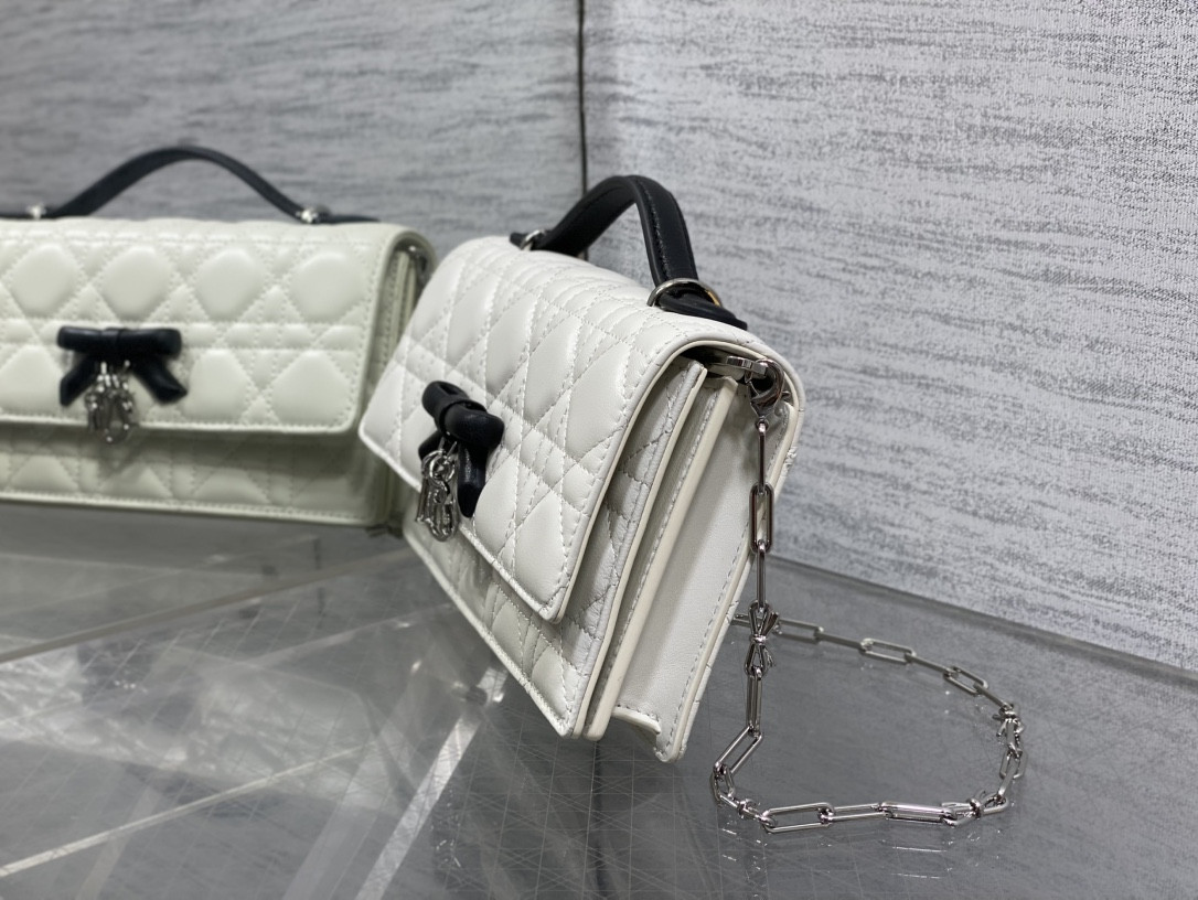 my D10r mini bag 21x11.5x4.5cm