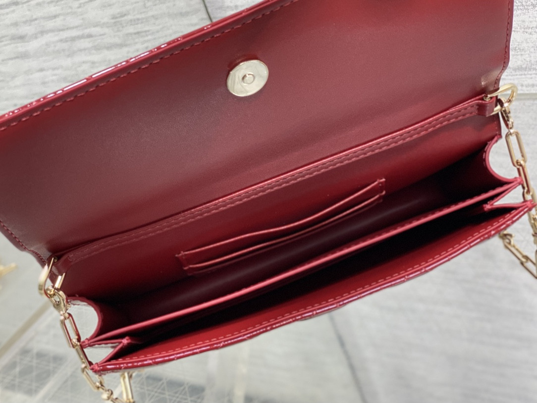 my D10r mini bag 21x11.5x4.5cm
