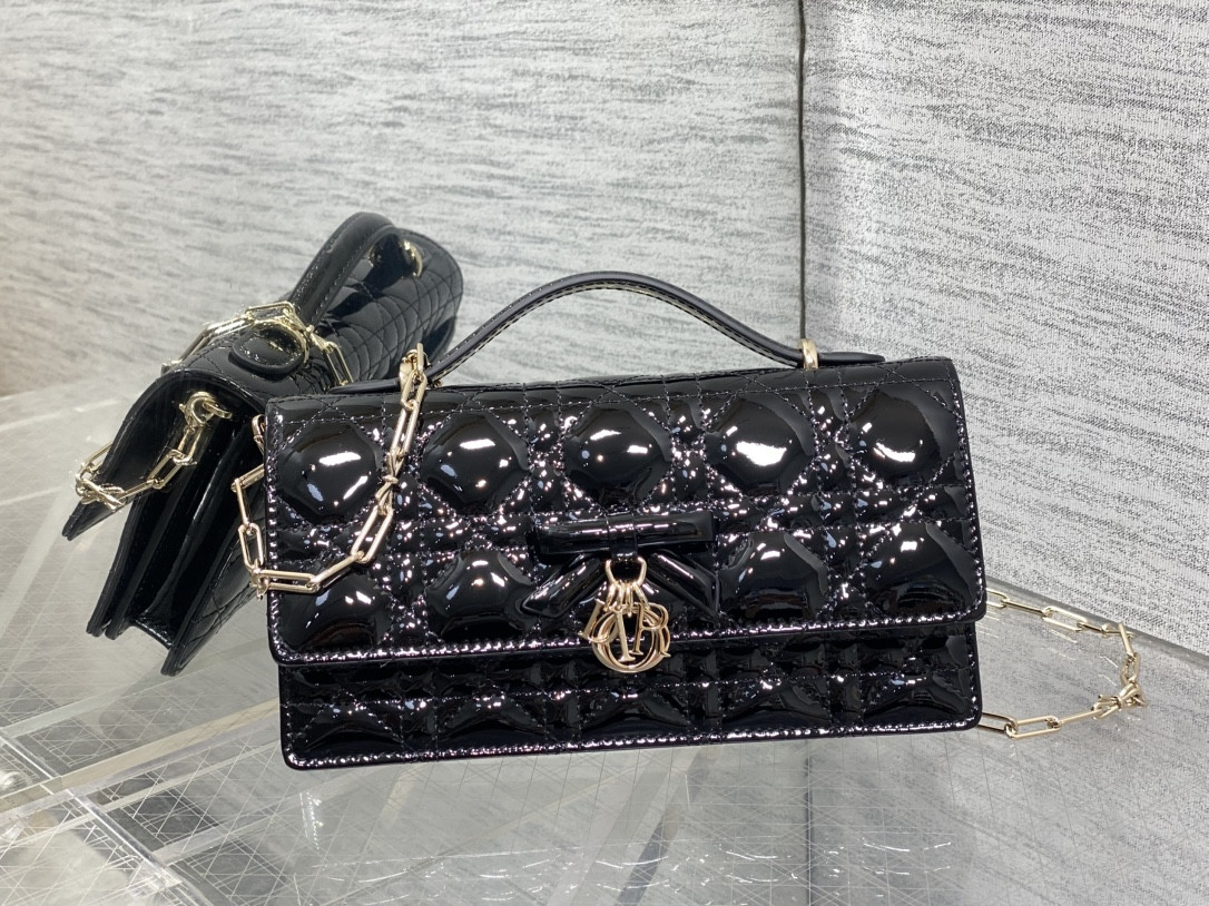 my D10r mini bag 21x11.5x4.5cm