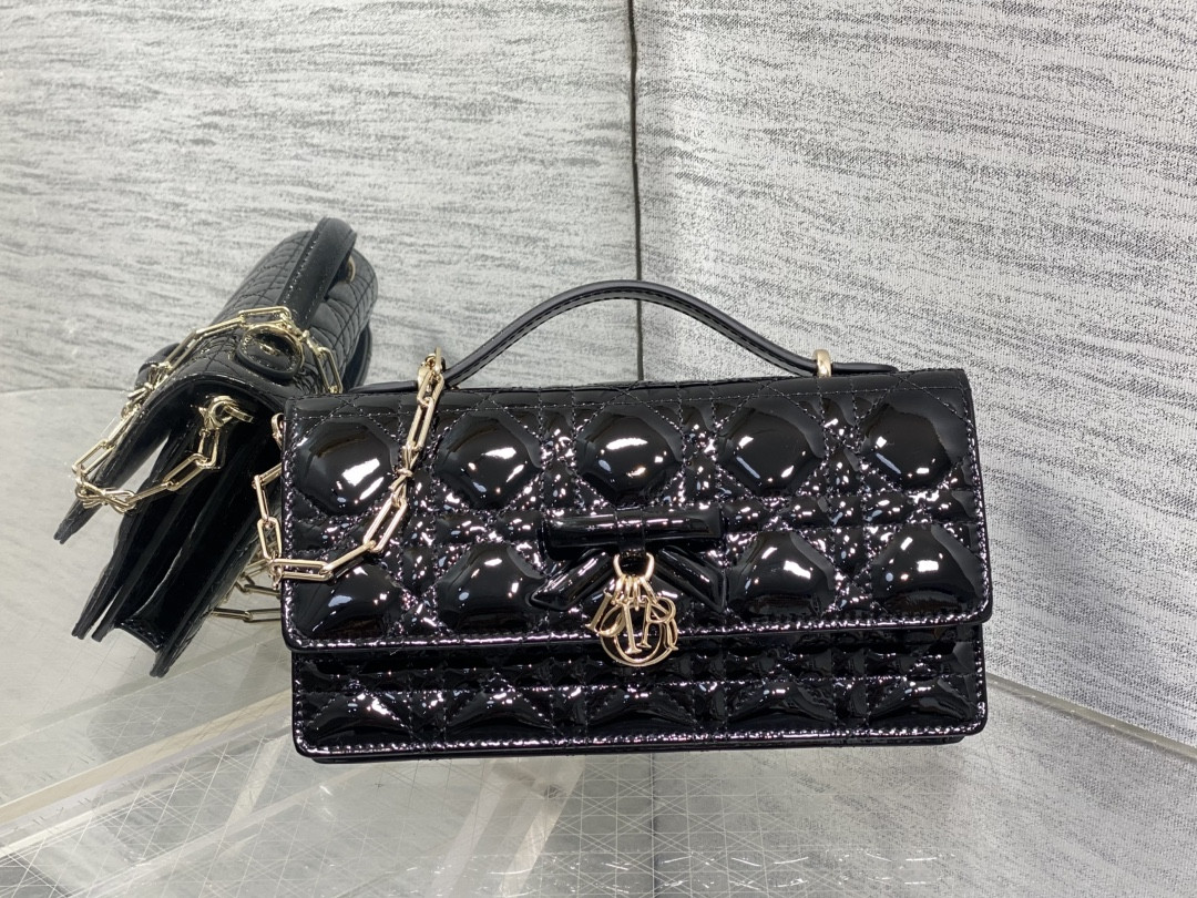 my D10r mini bag 21x11.5x4.5cm